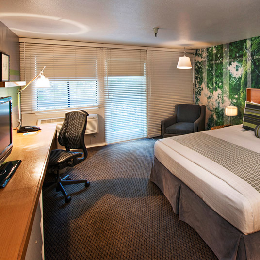The Domain Hotel