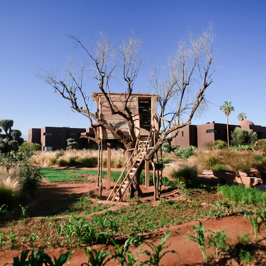 Fellah Hotel
