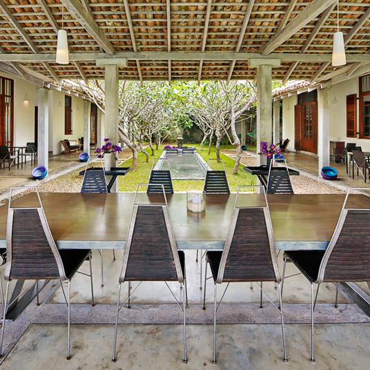 The Frangipani Tree