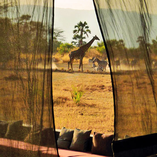 Chem Chem Tarangire Lodge