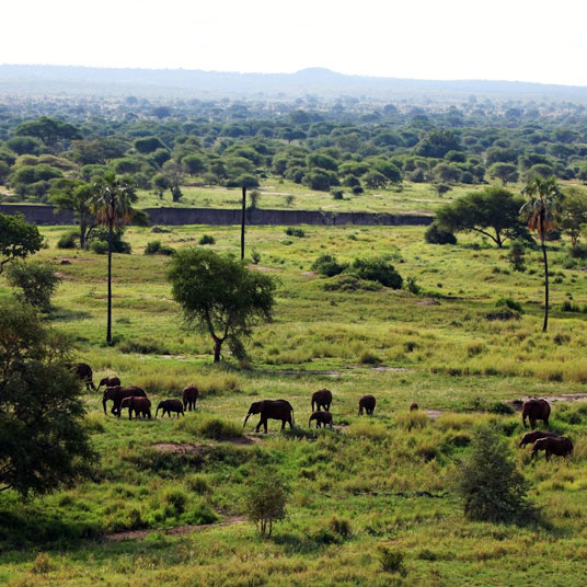 Chem Chem Tarangire Lodge