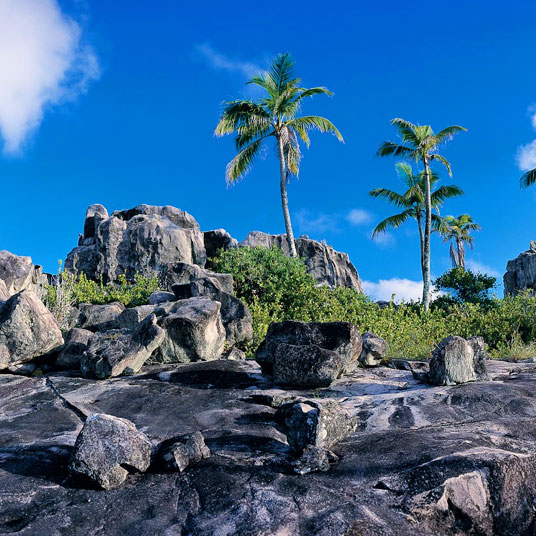 Fregate Island Private Reserve