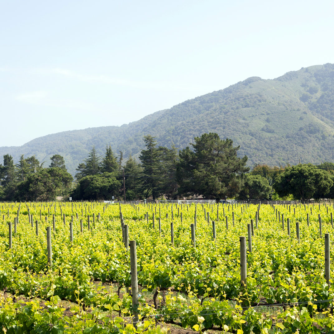 Bernardus Lodge & Spa