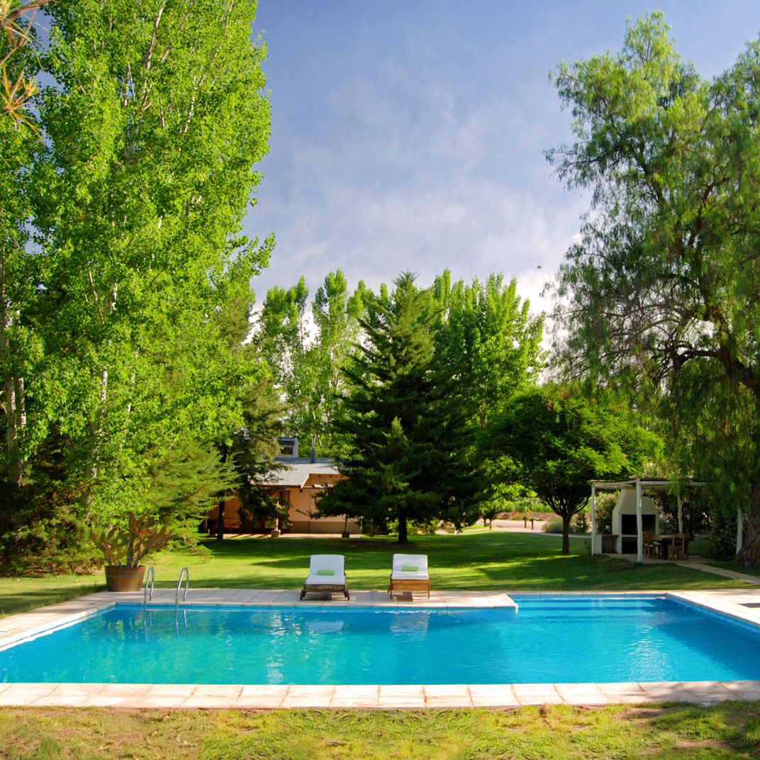 Algodon Wine Estates