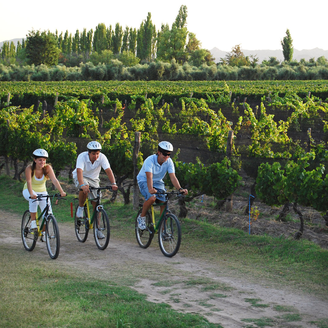 Algodon Wine Estates