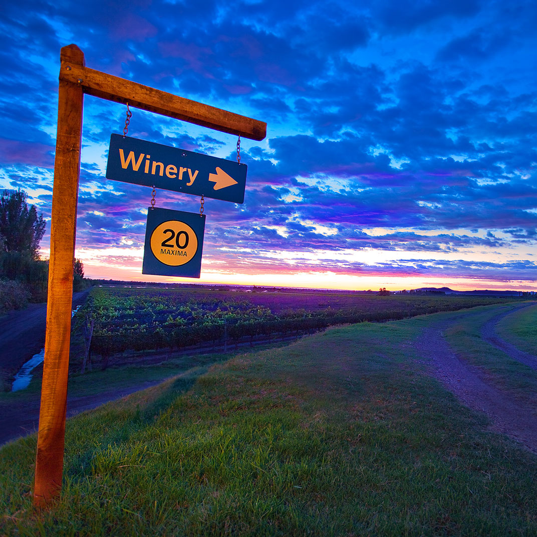 Algodon Wine Estates
