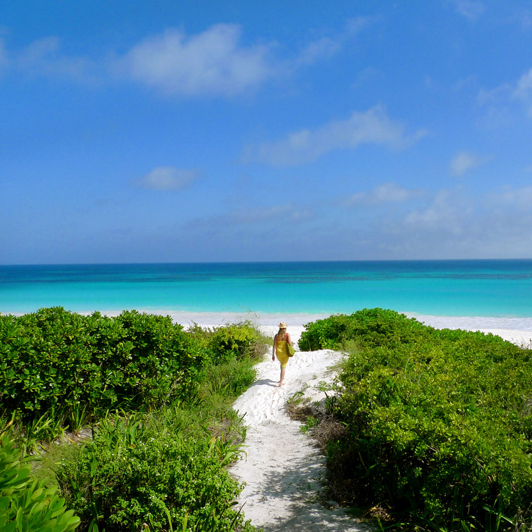 C Sands Harbour Island Bahamas Verified Reviews Tablet Hotels C Sands