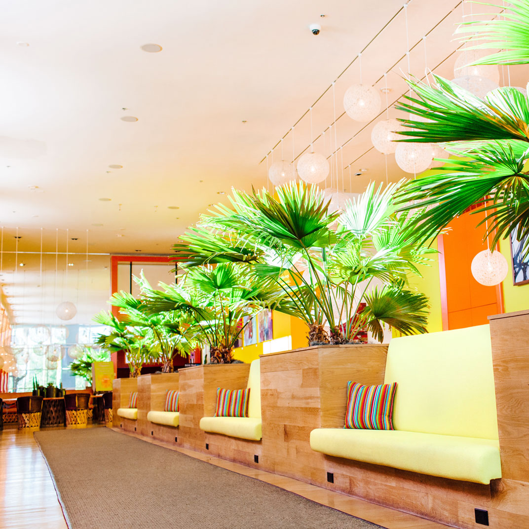 The Saguaro Scottsdale