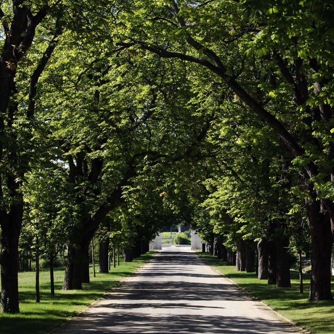 Domaine de Verchant