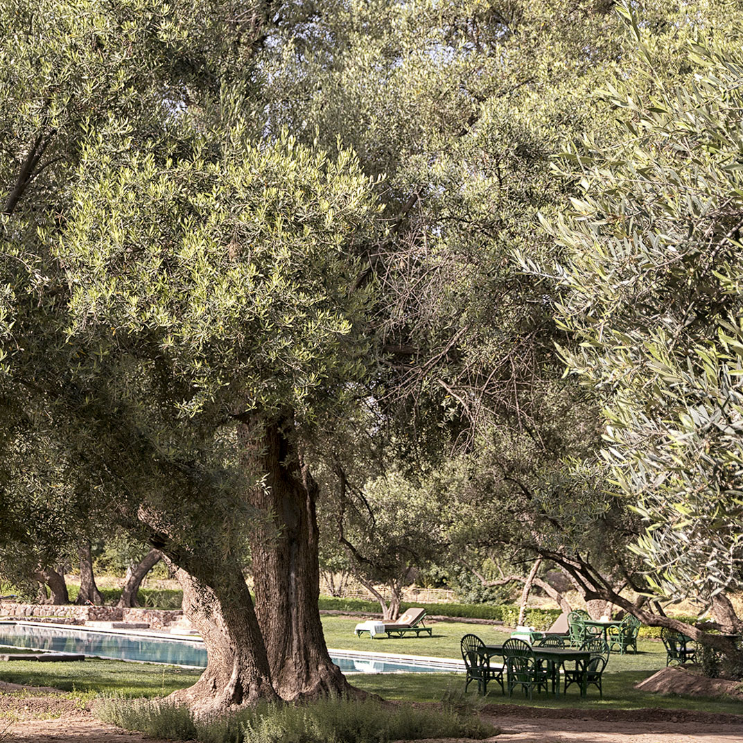Berber Lodge Oumnas