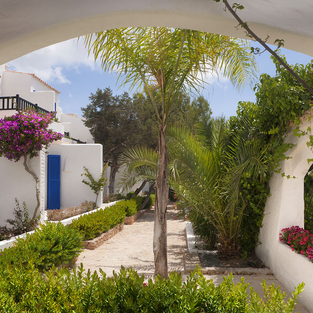 Paraiso de los Pinos